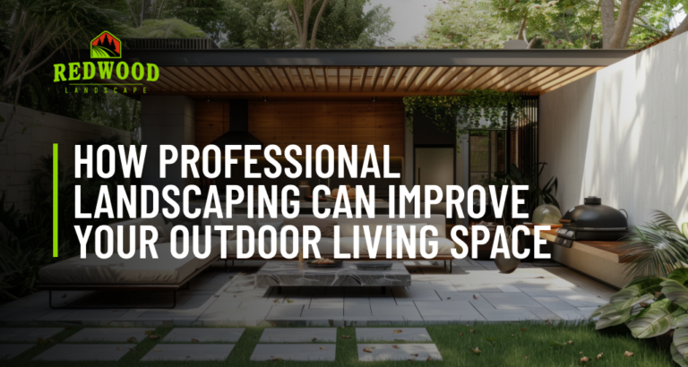 How Professional Landscaping Can Improve Your Outdoor Living Space