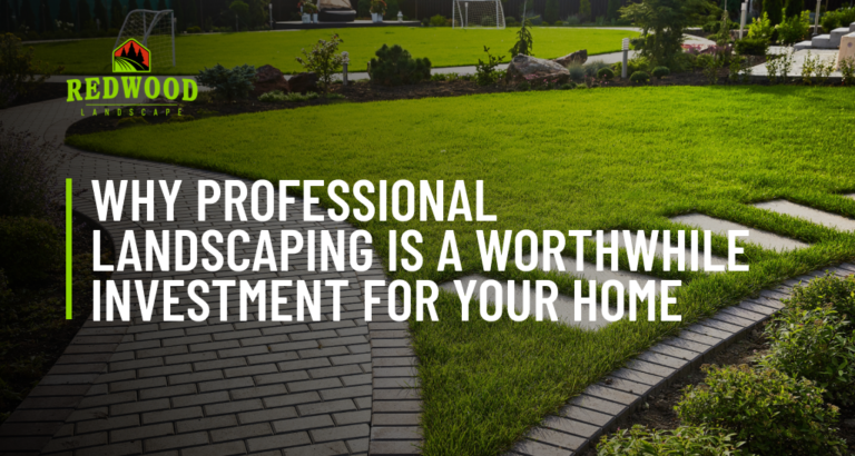 Why Professional Landscaping is a Worthwhile Investment for Your Home