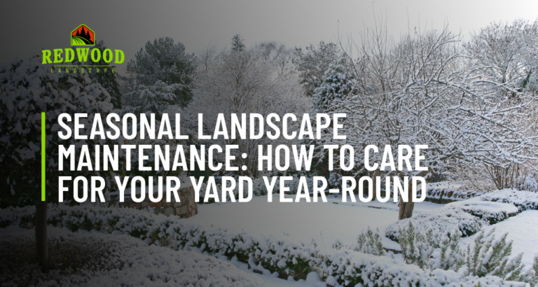 Seasonal Landscape Maintenance_ How to Care for Your Yard Year-Round 2