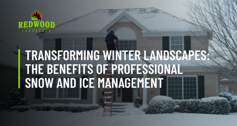 Transforming Winter Landscapes_ The Benefits of Professional Snow and Ice Management