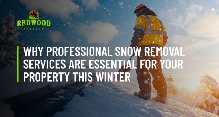 Why Professional Snow Removal Services Are Essential For Your Property This Winter